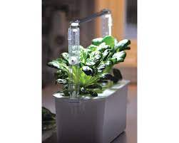 Miniatyrbild 2