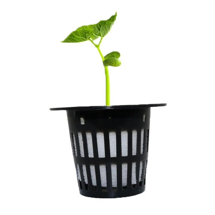 Miniatyrbild 1