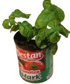 Miniatyrbild 1