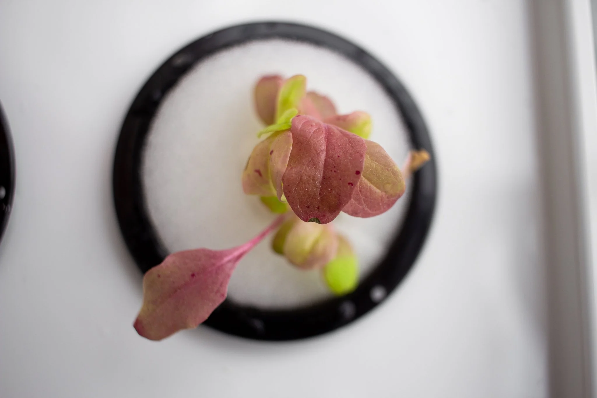 Produktbild 9